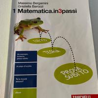 Libro matematica scuole superiori