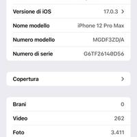 IPHONE 12 PRO MAX 256GB