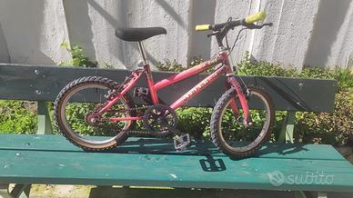 Mountain Bike Silver Star da 16