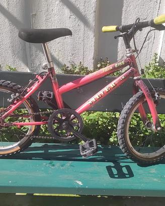 Mountain Bike Silver Star da 16