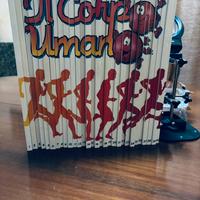 Esplorando il corpo umano