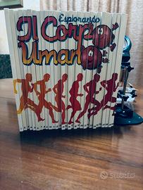 Esplorando il corpo umano