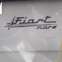 Barca a motore