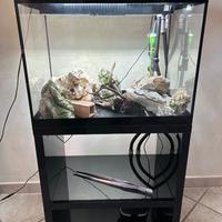Acquario Askoll Pure Led L