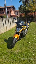 honda hornet cb 600