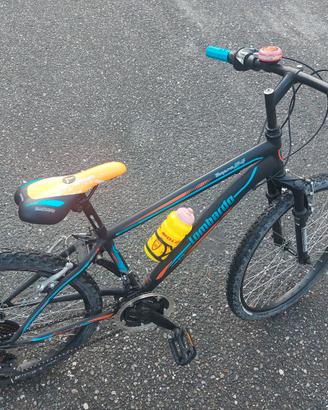 Bici Mountain Bike Lombardo