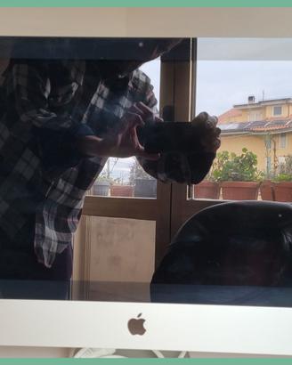 Apple A1418 iMac 21,5" non funzionante