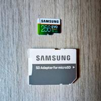 Samsung Micro SD 256Gb Evo Select