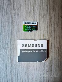 Samsung Micro SD 256Gb Evo Select