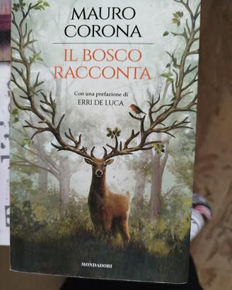 Mauro corona il bosco racconta 
