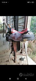 Sella western