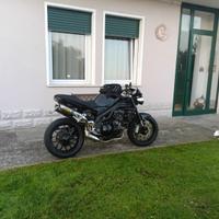 Triumph Speed triple 