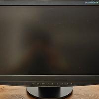 monitor Eizo 21"