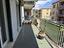 Immagine 17