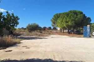 Rif.8882UF74329| capannone mazara del vallo