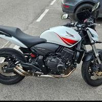 Honda CBF 600 F Hornet