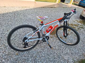 MTB 24