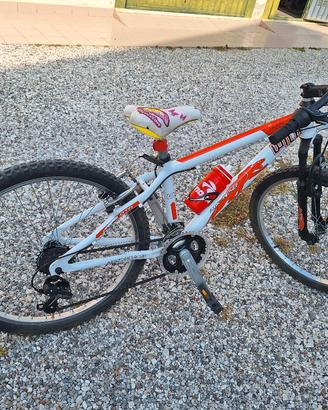 MTB 24