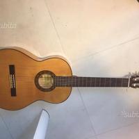 Chitarra raimundo sicomoro