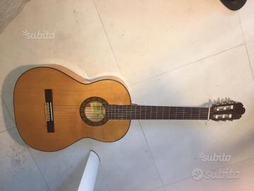 Chitarra raimundo sicomoro