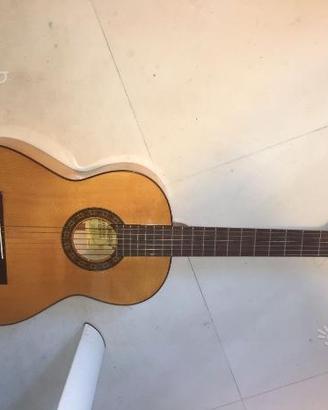Chitarra raimundo sicomoro