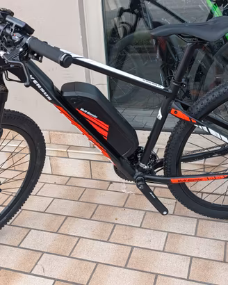 E-bike Versus 29