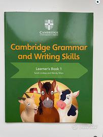 Cambridge grammar and writing skills,Learn.book 1