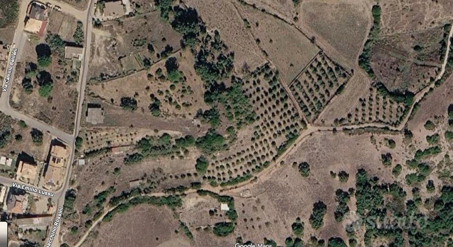 Terreno edificabile con uliveto - Vista 2