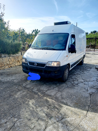 Fiat Ducato Refrigerato