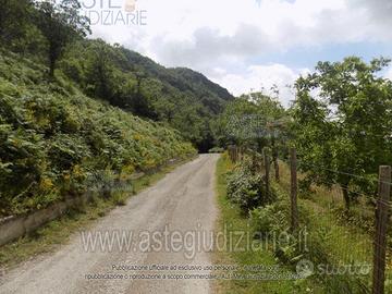 Terreno Agricolo Giffoni Valle Piana [A4333107]