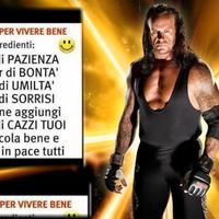 Magazziniere,tuttofare,manovale