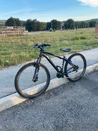 Bici mtb vicini