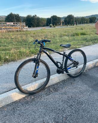 Bici mtb vicini