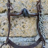 Briglia matemmana + morso intero