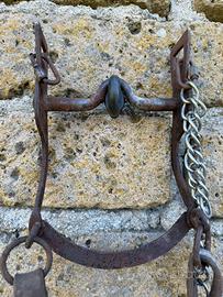 Briglia matemmana + morso intero