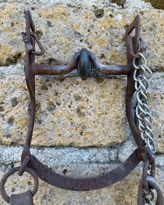 Briglia matemmana + morso intero