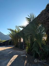 PANTELLERIA