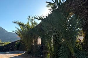 PANTELLERIA