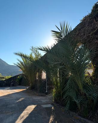 PANTELLERIA
