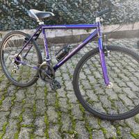 Bicicletta passeggio 