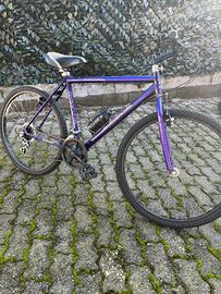 Bicicletta passeggio 