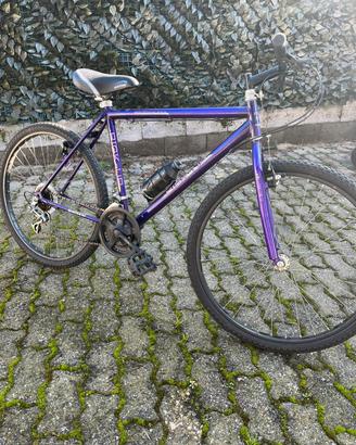 Bicicletta passeggio 