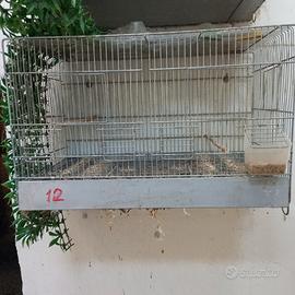 Gabbie usate allevamento fringillidi / canarini