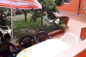 AGOSTO 1-8 e( 22-31) IL GIRASOLE Marina di Carrara