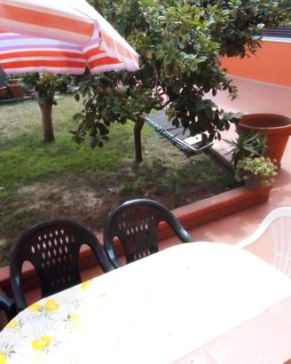 AGOSTO( 22-31)SETT.IL GIRASOLE Marina di Carrara