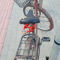 Bicicletta 26 da donna