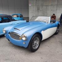 AUSTIN HEALEY