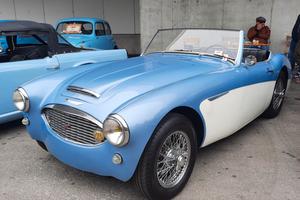 AUSTIN HEALEY