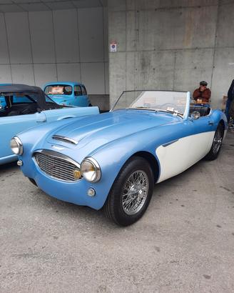AUSTIN HEALEY