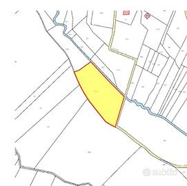 Terreno agricolo - prato